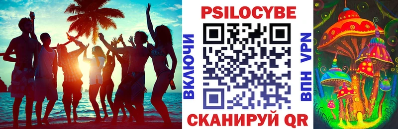 гидра онион  наркотики  Куровское  Галлюциногенные грибы GOLDEN TEACHER 